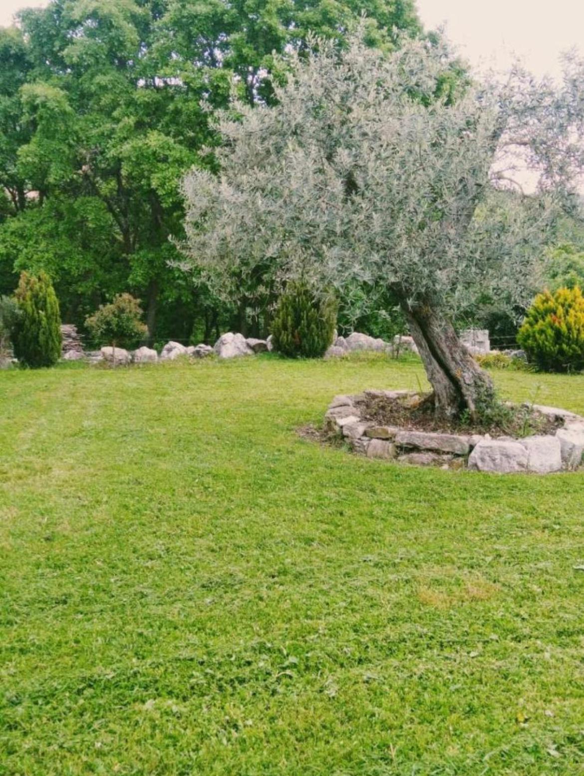 Residence San Martino Appartamento Mini Busso Exterior photo